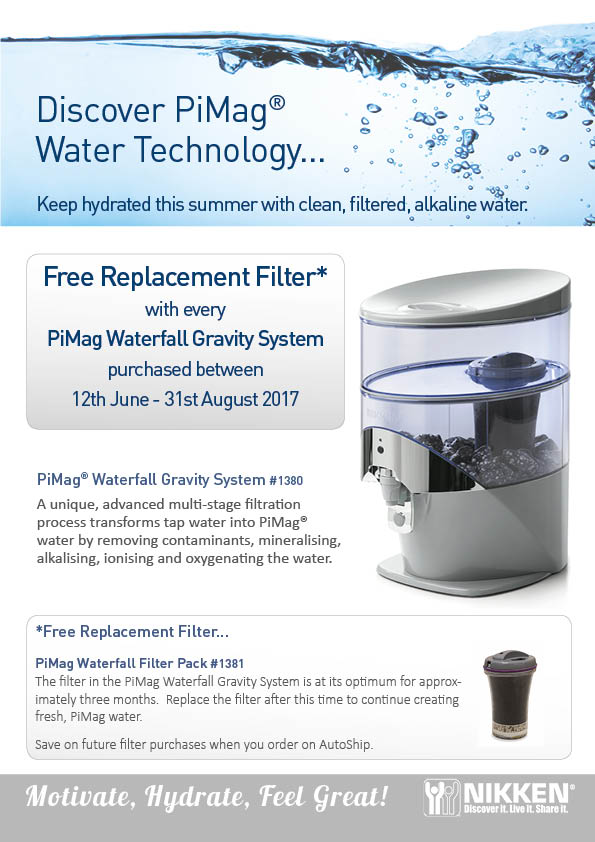 Free-Replacement-Filter-Offer