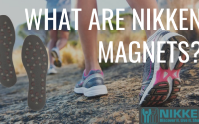 What are Nikken Magnets?