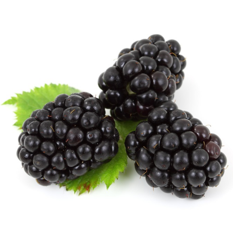 organic blackberry ciaga juice nikken