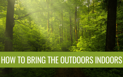 How to Bring the Outdoors Indoors